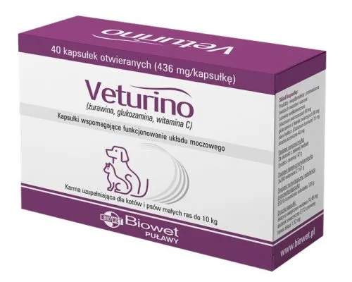 Veturino