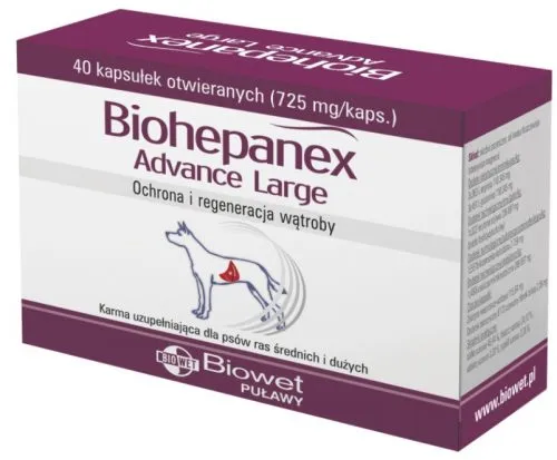 Biohepanex Advance Large kapsułki