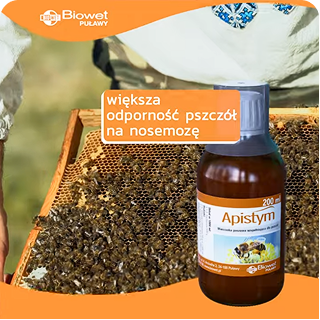 Apistym wzmacnianie odporności pszczół