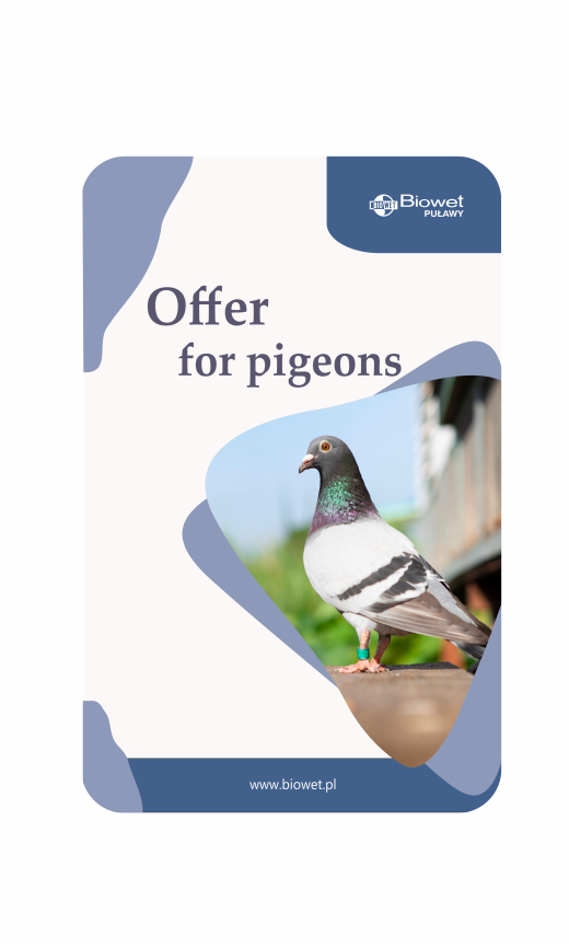 Pigeon product catalog