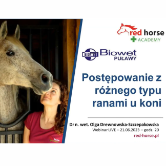 Postępowanie w różnych przypadkach ran u koni
