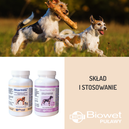 Bioathrex / Bioarthrex HA - wsparcie dla stawów