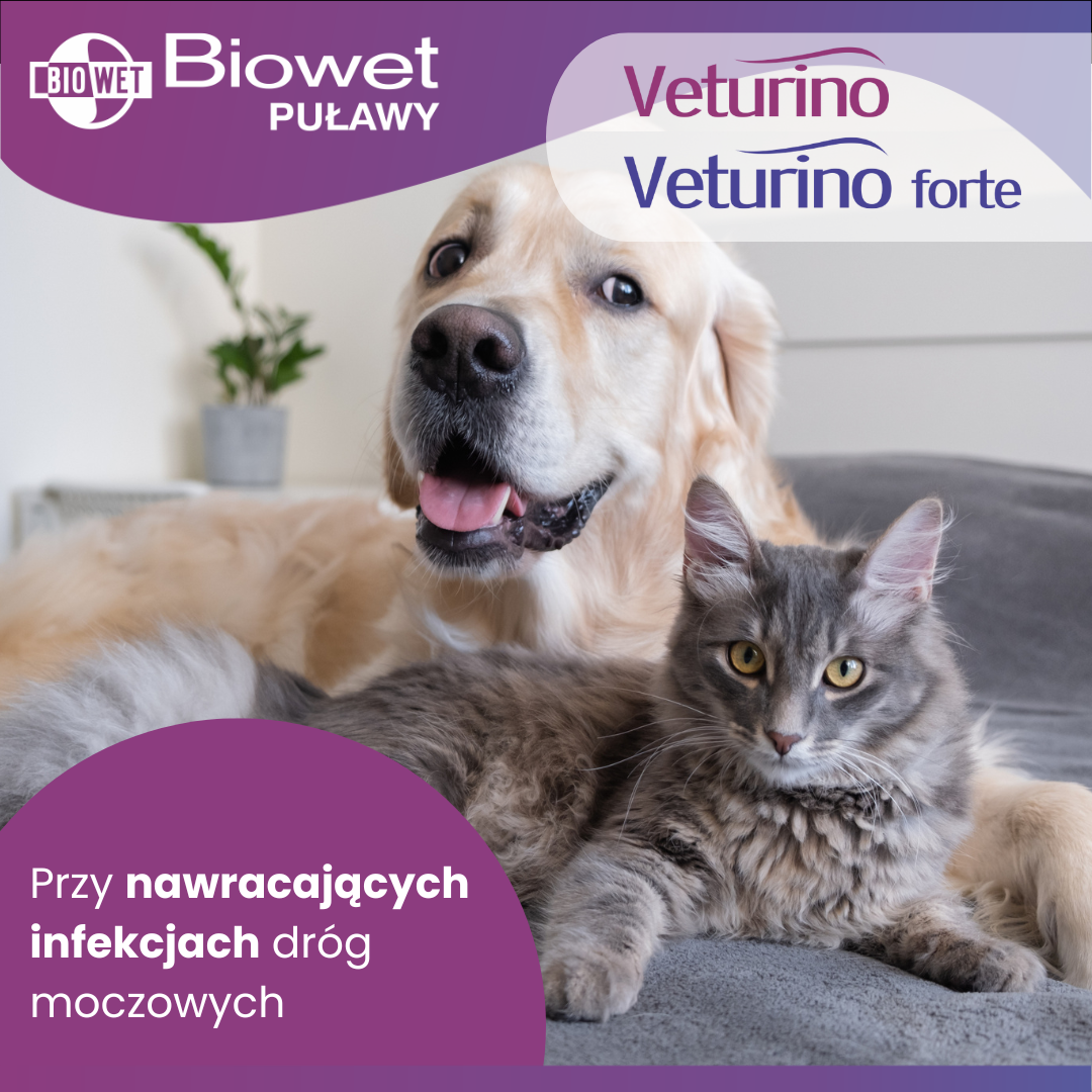 Wsparcie układu moczowego