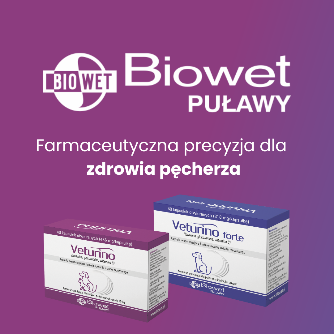Farmaceutyczna precyzja dla zdrowia pęcherza