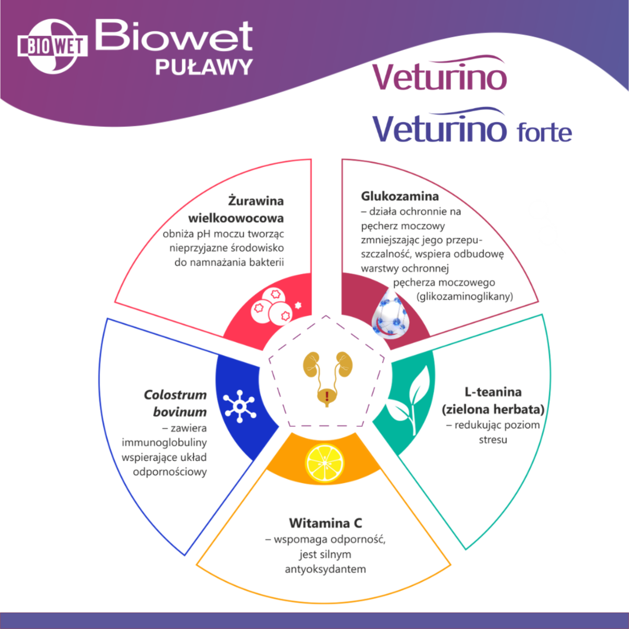 Veturino / Veturino forte - skład